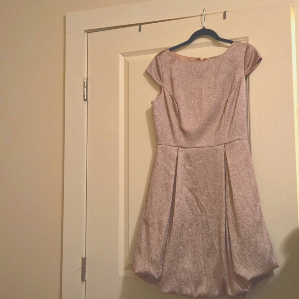 Adrianna Papell Pink Metalic Bubble Dress